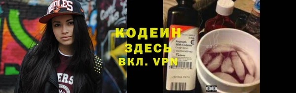 дмт Вяземский