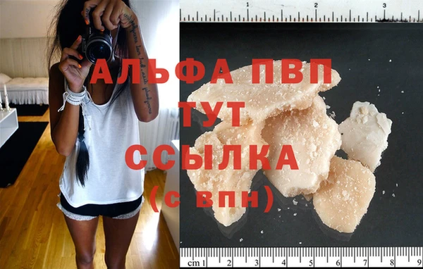 скорость Новозыбков