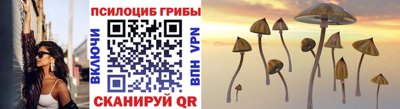 как найти закладки  Нытва  Галлюциногенные грибы Magic Shrooms 